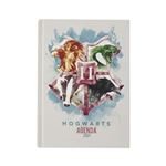 Agenda Sd Toys 2021 Harry Potter Grynffindor emblema