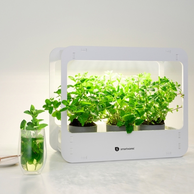 Estación de cultivo LED ISL-60025 bombilla plantas
