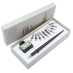 Pluma estilografica Conjunto de Caligrafía con Tinta y 11 Plumillas HO-Q-301 características