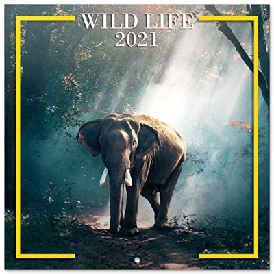 ERIK - Calendario de pared 2021 Wild Life 30x30 cm