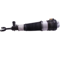 Suspensión neumática Amortiguador Delantero izquierdo para Audi A6 Allroad 4FH C6 06-11 en oferta