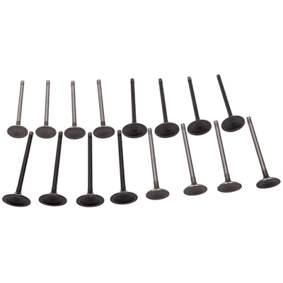 Nuevo juego de 16 válvulas de escape de admisión para motor GM 2.0 - 2.2 - 2.4 ECOTEC DOHC