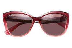 FEISDY Vintage Polarizados Gafas de sol Para Mujer UV400 Proteger Cat Eye Gafas de Sol B2451 características