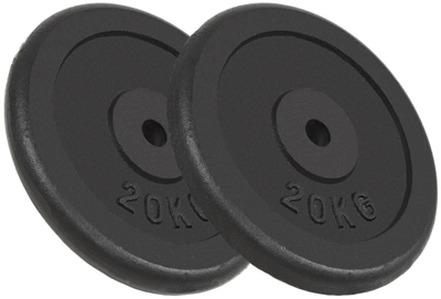 VidaXL Weight Plates 2 PCS 40 kg