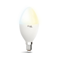 iDual Whites bombilla LED vela P45 E14 5,5W características