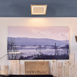 HerzBlut Otto O plafón cuadrado roble natural características