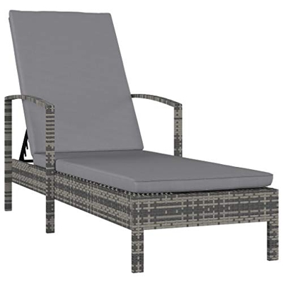 Festnight Tumbona con Reposabrazos Tumbonas Jardin Exterior Ratán Sintético Gris 195 x 68 x 95 cm