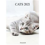Calendario 2021 Draeger decoración gatos características