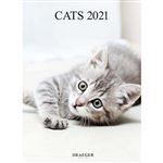 Calendario 2021 Draeger decoración gatos