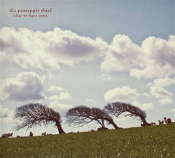 What we have sown - 2 Vinilos en oferta