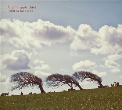What we have sown - 2 Vinilos