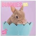 Calendario de pared Erik 2021 Studio Pets Bunny