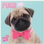 Calendario de pared Erik 2021 Studio Pets Pugs