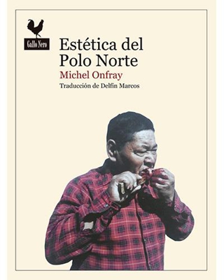 Estética del Polo Norte
