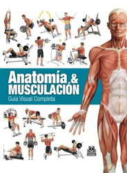 Anatomia & musculación Guía visual características