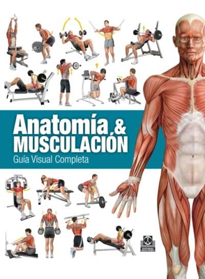 Anatomia & musculación Guía visual
