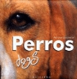 Perros, dogs