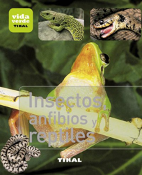 Insectos, anfibios y reptiles características