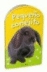 Pequeño conejito. Libros con textura