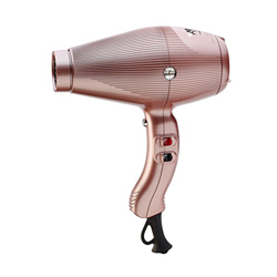 GAMMAPIU SECADOR Aria Gold Rose, Rosa, Estándar características