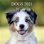 Calendario 2021 Draeger grande cuadrícula perros
