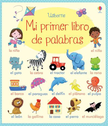 Mi primer libro de palabras características