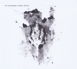 Hideen fields - Vinilo características