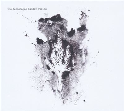 Hideen fields - Vinilo