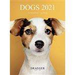 Calendario 2021 Draeger pequeño cuadrícula perros