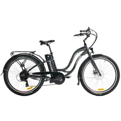 Bicicleta eléctrica Monster X-Road TB 7005 gris antracita