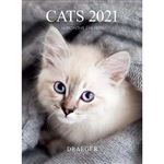 Calendario 2021 Draeger pequeño cuadrícula gatos