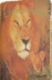 Pequeños animales. Libros de tela
