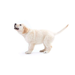 Mallallah - Saco de dormir de forro 100% poliéster ligero y cómodo, 210 x 120 cm, 210 x 160 cm, para viaje, camping, senderismo, albergues, hotel, cas características