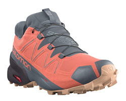 Salomon Speedcross 5 GTX W - Tenis de correr para mujer, (Crema Persimon/Phantom/Almond), 40 EU en oferta