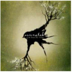 Nunatak y las luces del bosque en oferta