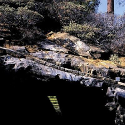 World Class Listening Pro en oferta