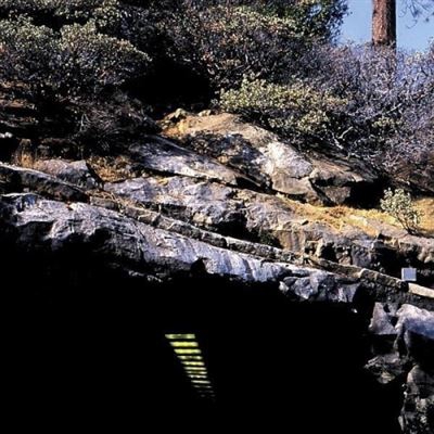 World Class Listening Pro