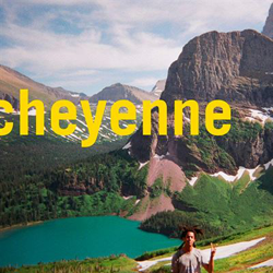 Cheyenne - Vinilo características