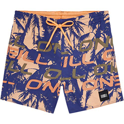 O'NEILL PM Stacked Bañador, Hombre, Amarillo (Yellow Green), M precio