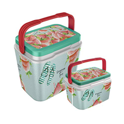 Life Story Nevera Rigida 29L en oferta