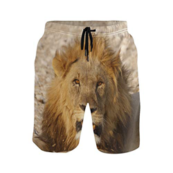 Lion Africa - Bañador para hombre, diseño de animales Multicolor multicolor S características