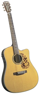 Blueridge BR-160 CE 10 Dreadnought guitarra acústica