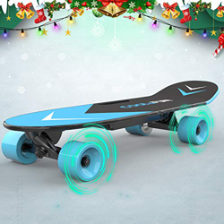 SOUTHERN WOLF Monopatín eléctrico con Longboard y Mando de Control para niños o Adultos, Motor de 150 W precio