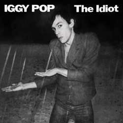 Idiot características