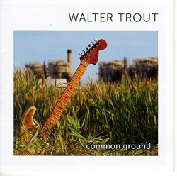 Common Ground características