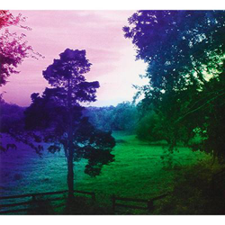 Echo Ono características