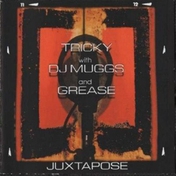 Juxtapose características