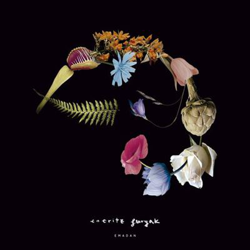 Emadan características