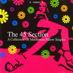 The 45 Section características