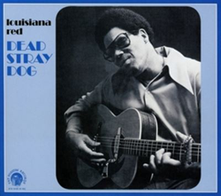 Dead Stray Dog en oferta